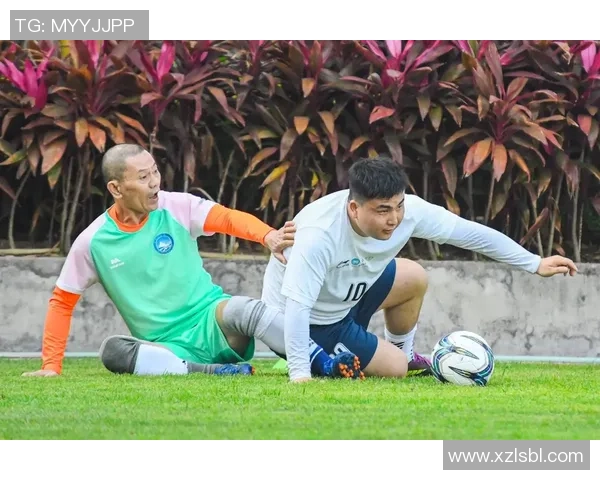 足球赛场上的犯规与打架现象解析及其对比赛的影响与对策探讨